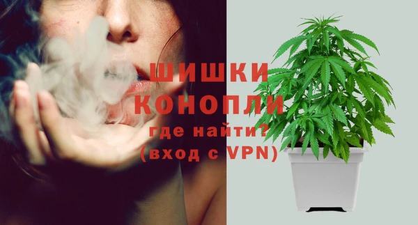 МДПВ Медногорск