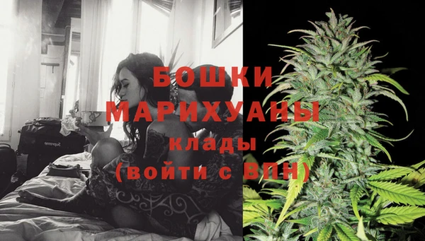 сатива Мегион