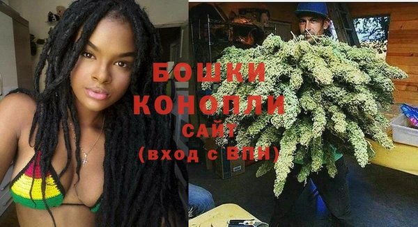 МДПВ Медногорск